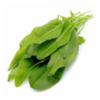 Зелень Щавель 100гр шт