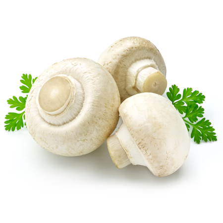 Грибы Шампиньоны Польша кг