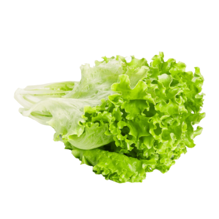 Зелень Листья Салата 200гр шт