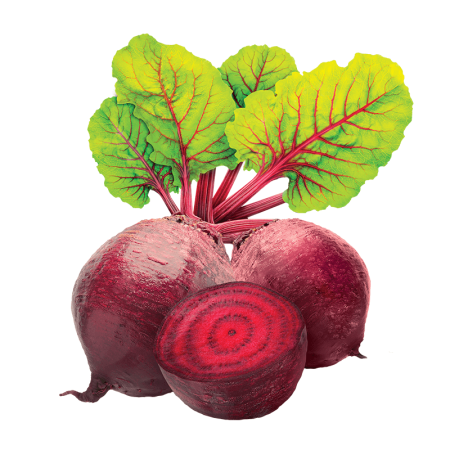 Свекла Казахстан кг