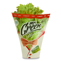 Cалат Лолло Россо Mr.Green м/у 150г