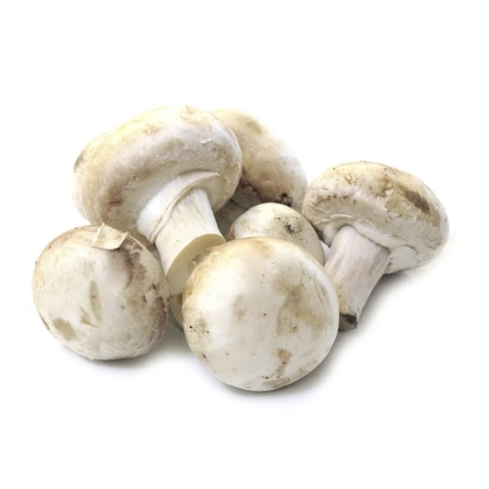 Грибы Шампиньоны Казахстан кг Грибы Шампиньоны Казахстан кг