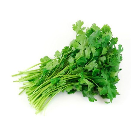 Зелень Кинза Свежая Mcc Trade Company кг