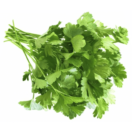 Зелень Кинза 100гр шт