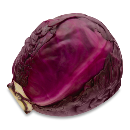 Капуста Красная Казахстан кг