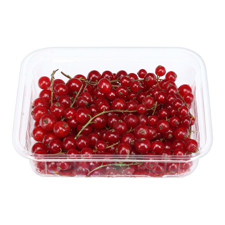 Ягода Смородина Bloed Bessen Свежая 125гр Конт