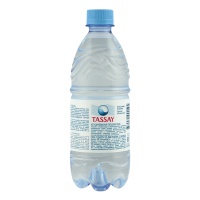 Вода Питьевая Негазированная Tassay п/бут 0.5л Вода Питьевая Негазированная Tassay п/бут 0.5л