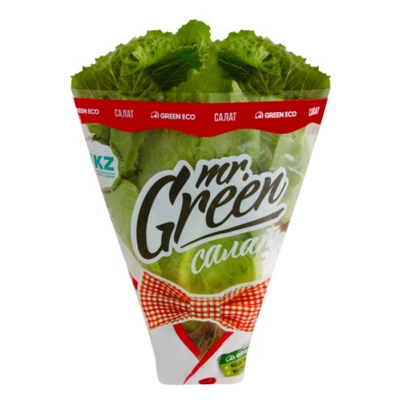 Зелень mr.green Ромен Казахстан 150гр