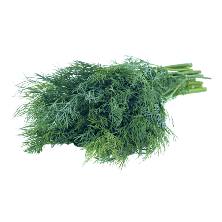 Зелень Укроп 150гр шт