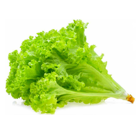 Зелень Листья Салата Казахстан Фас