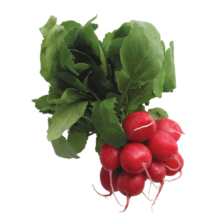 Редис Казахстан Пучок шт