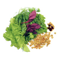 Зелень Viola Royal Mix 120гр Green Eco