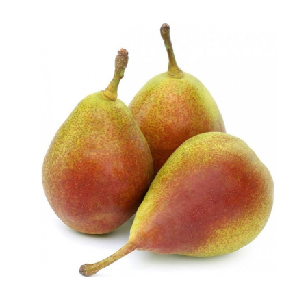 Груша Лесная Красавица Казахстан кг