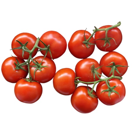 Томаты на Ветке кг