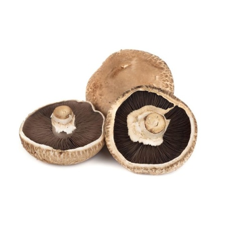 Грибы Шампиньоны Портобелло Казахстан кг