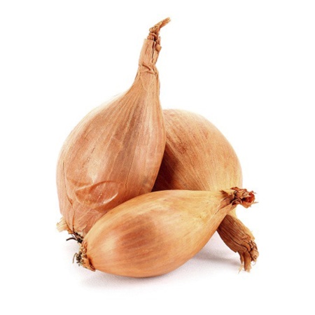 Лук Шалот Франция шт Лук Шалот Франция шт