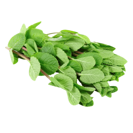 Зелень Мята 100гр шт