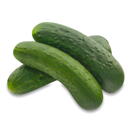 Огурцы Миринда Тепличные Казахстан кг