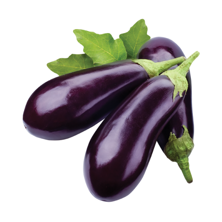 Баклажан Казахстан кг