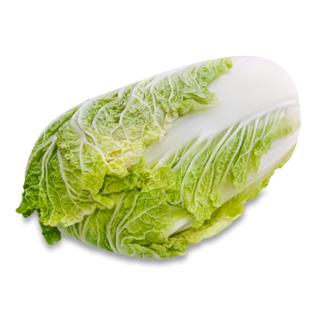 Капуста Пекин Казахстан кг