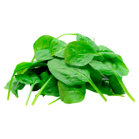 Зелень Шпинат Казахстан кг