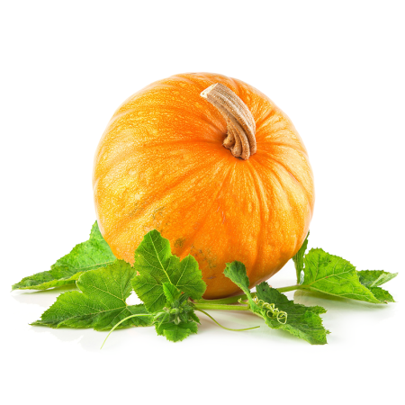 Тыква Казахстан кг