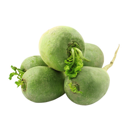 Редька Казахстан кг