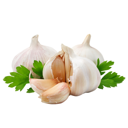 Чеснок Казахстан кг