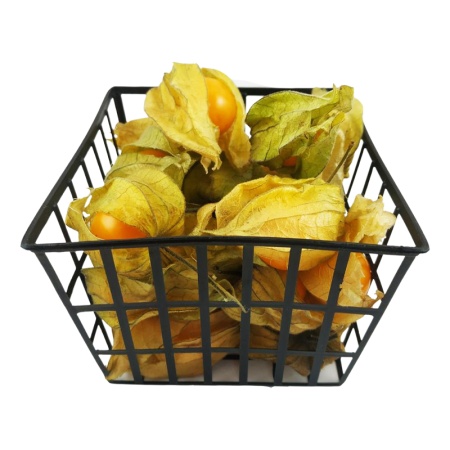 Ягода Физалис Carnaval Свежая 100гр Конт