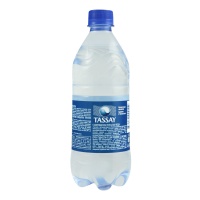 Вода Питьевая Газированная Tassay п/бут 0.5л Вода Питьевая Газированная Tassay п/бут 0.5л