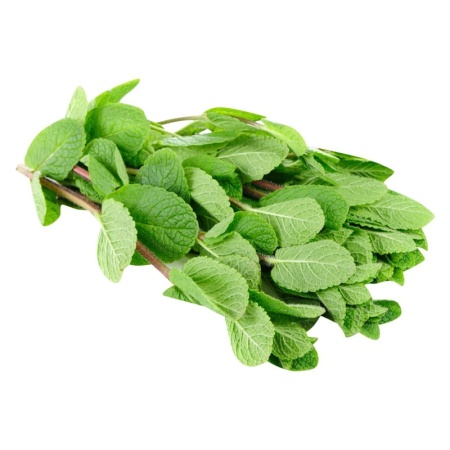 Зелень Мята Казахстан кг