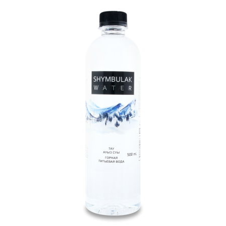 Вода Shymbulak Water Питьевая Горная б/газ 0,5л п/б