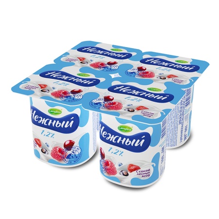 Йогурт Campina Нежный с Соком Лесных Ягод 1,2% 100гр гр/уп